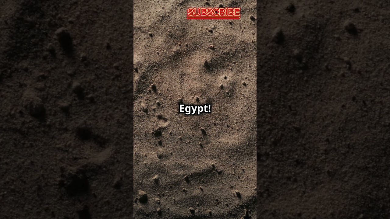 Ancient Egyptian Prosthetic Toe: A 3,000-Year-Old Medical Breakthrough!