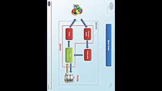 Php - 03 Phpye Giriş- 04 İşlem Sırası