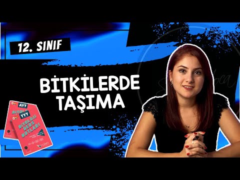 22) BİTKİLERDE TAŞIMA | 12. SINIF | DETAYLI KONU ANLATIMI | AYT 2024