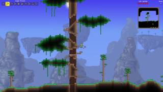 Terraria-2, Průzkum Velkého Stromu Living Wood
