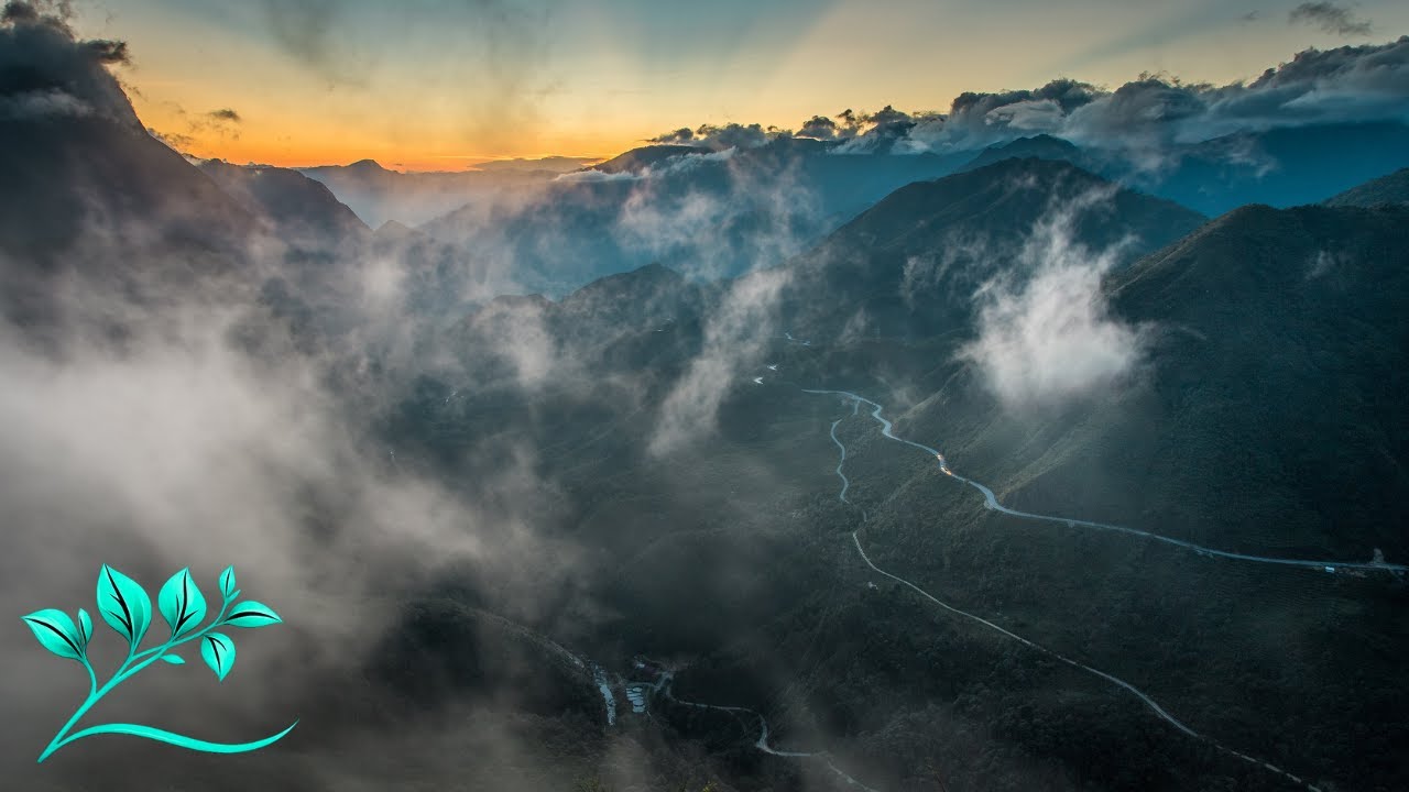 Relaxing Piano & Cello | Deep Sleep in a Cozy Scandinavian Cabin (90 Minutes)