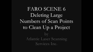 FARO SCENE 6 Deleting Scan Points