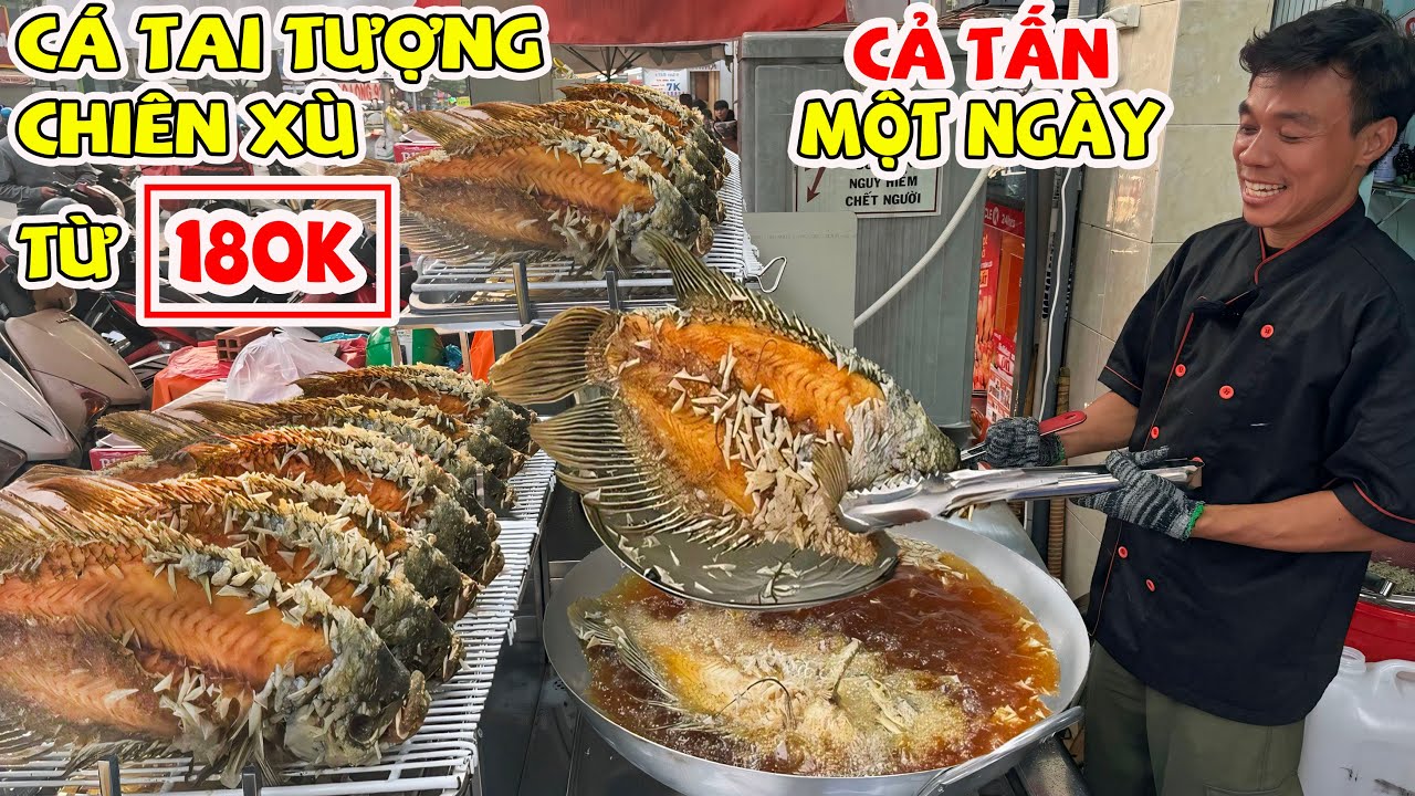 Giải Mã Cá Tai Tượng Chiên Xù 68 Từ 180K Ông Chủ Bật Mí Bí Kíp Bán Cả Tấn Cá 1 Ngày