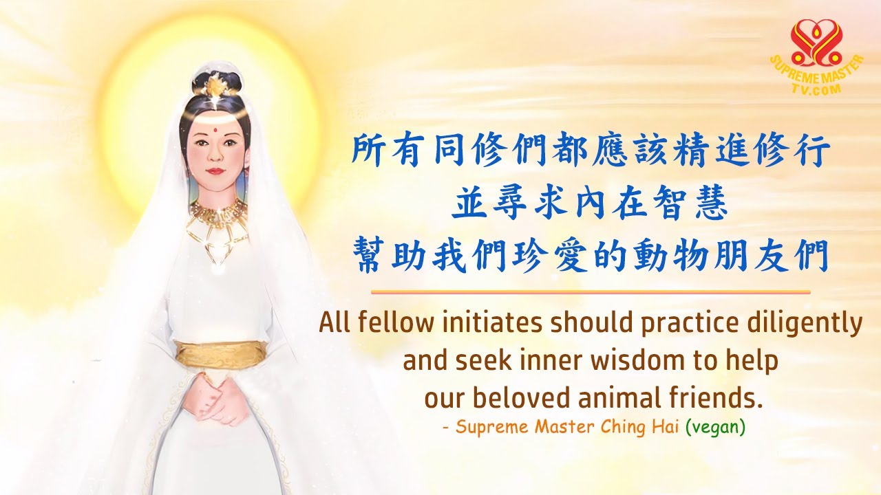 觀音法門是我們能得到的最佳禮物🙏要有堅定的理想｜The Quan Yin Method is the best gift we can have💖We must have strong