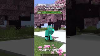 How To Find Out Your Worlds Seed? In Minecraft!