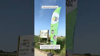 Visite de la Plaine de Perwez, Bruant Proyer