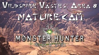 MHW: Wildspire Wastes: Area 8 (Dusk) Nature Cam