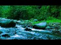 River Sounds for Brain Relaxation ?? Binaural Beats  Deep Sleep