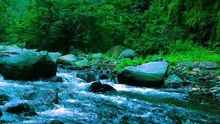 River Sounds for Brain Relaxation ?? Binaural Beats Deep Sleep