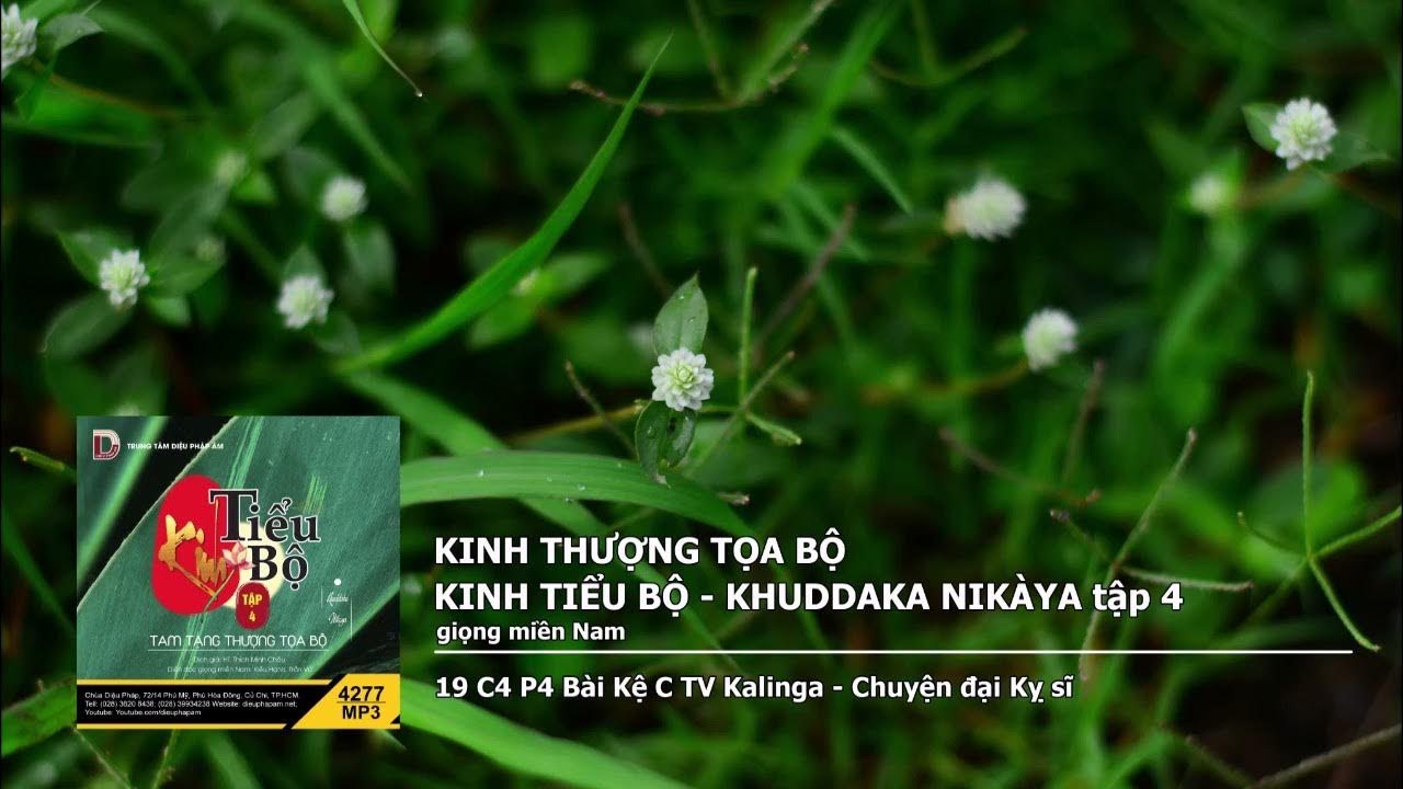 Tập 4 – 19 C4 P4 Bài Kệ C TV Kalinga – Chuyện đại Kỵ sĩ giọng miền Nam 