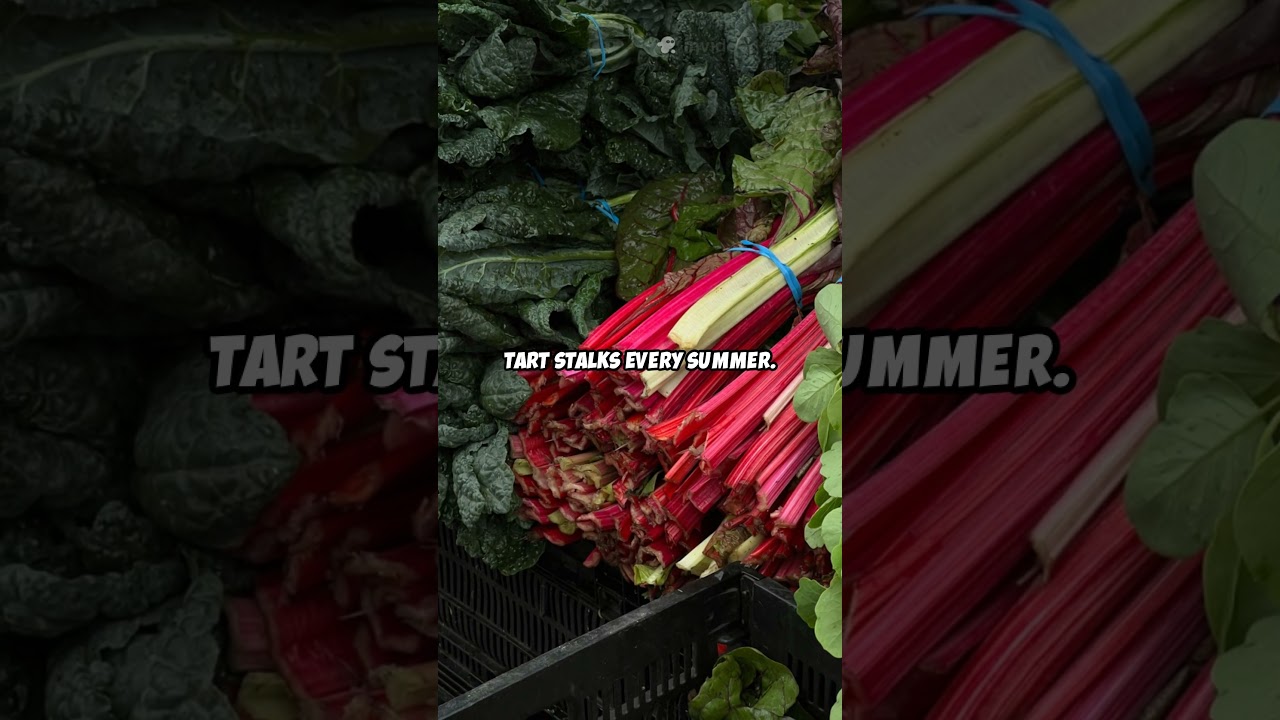 Посадите эти 9 многолетних культур один раз и собирайте урожай вечно