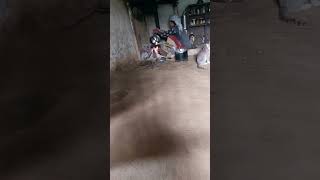 My Mother In - Law Preparing Netel Soup