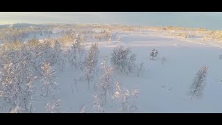 Download Lagu Incoming polar vortex expected to drop temperatures to below freezing MP3