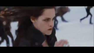 Сумерки.twilight - Final Fight .Музыка Kara Kul - Mark Petrie) (Devisprod)