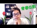 青春の影 チューリップ (Alan Cover)