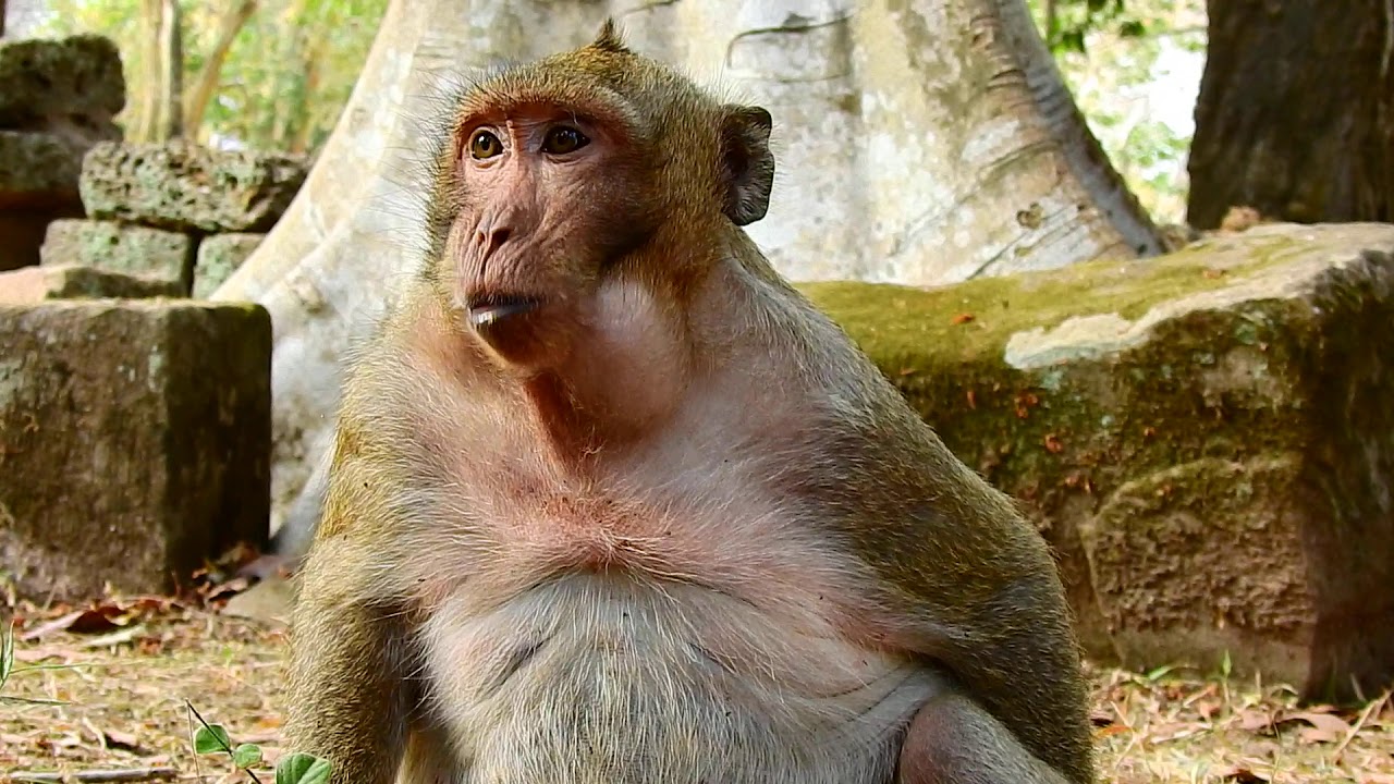 What happened in Sweet Pea Mouth!