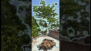 🤯 Galaxy AI: Cleaning My Terrace in One Click! ✨ #samsung #shorts