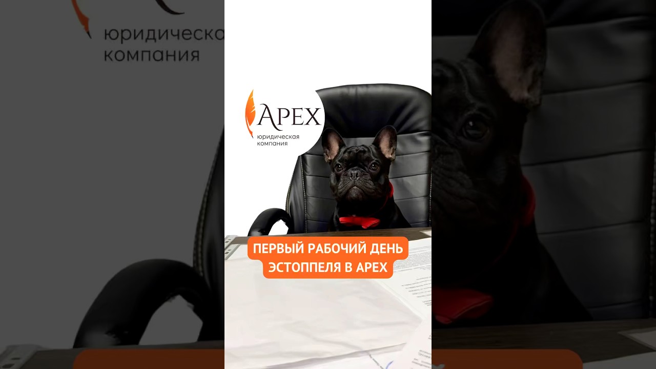 ПЕРВЫЙ РАБОЧИЙ ДЕНЬ ЭСТОППЕЛЯ В APEX