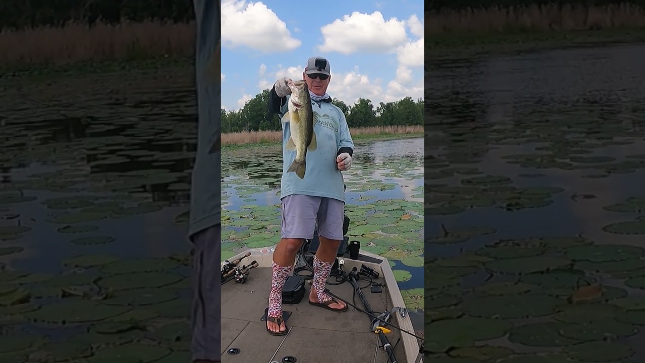 Summer Fishing is JuneBug weather! One cast away...  