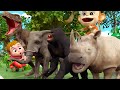 Animal Dance Song | Songs for Kids | + More @CoComelonNursery Rhymes &amp; Kids Songs