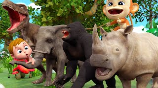 Animal Dance Song | Songs for Kids | + More @CoComelonNursery Rhymes &amp; Kids Songs