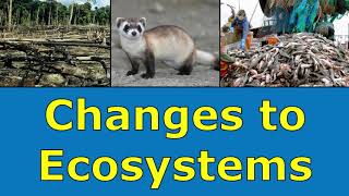 Changes to Ecosystems Overview
