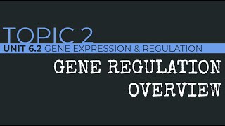 AP Biology: Gene Regulation Overview