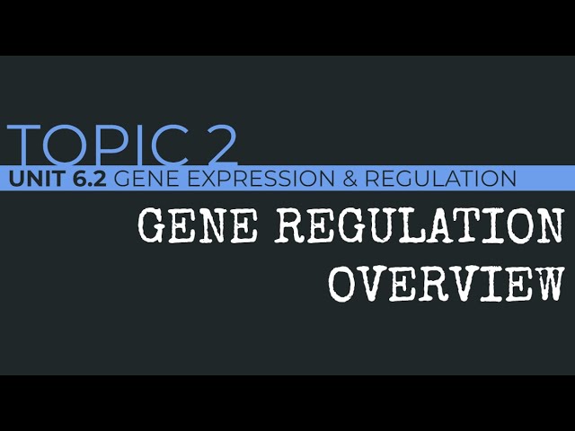 AP Biology: Gene Regulation Overview