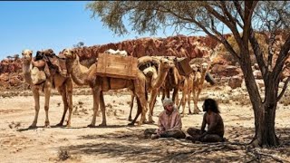 Full A Man Travels Across the Desert Carrying Gold to Find Freedom| Film/Movie Explained in Hindi  Update