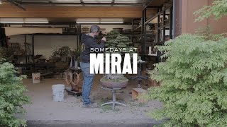 Somedays at Mirai: May