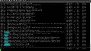 Установка Nginx Web Server В Oracle Linux 8.1