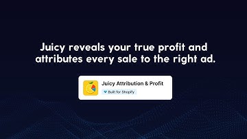 Juicy Attribution & Profit - Analytics Dashboard Shopify
