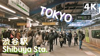 【4K】Shibuya Station [New platform of Yamanote Line]（Binaural Tokyo Sounds）