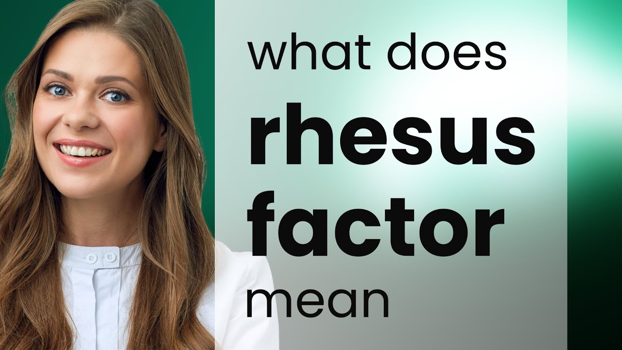 Rhesus Factor Meaning Of RHESUS FACTOR YouTube Rhesus Factor Meaning Of RHESUS FACTOR YouTube
