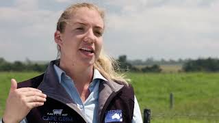 Introducing the Greenham Beef Sustainability Standard (GBSS)_CC