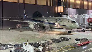 All Nippon Airways; Haneda to Singapore on NH843 (Economy Class) All Nippon Airways; Haneda to Singapore on NH843 (Economy Class)