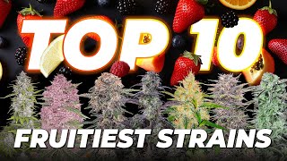 Top 10 Fruitiest Cannabis Strains | Fast Buds Autoflowers screenshot 2