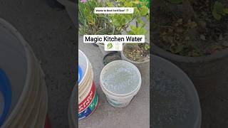 How to Make Waste to Best Liquid Fertilizer for Plants at Home #shorts #youtubeshorts #gardening