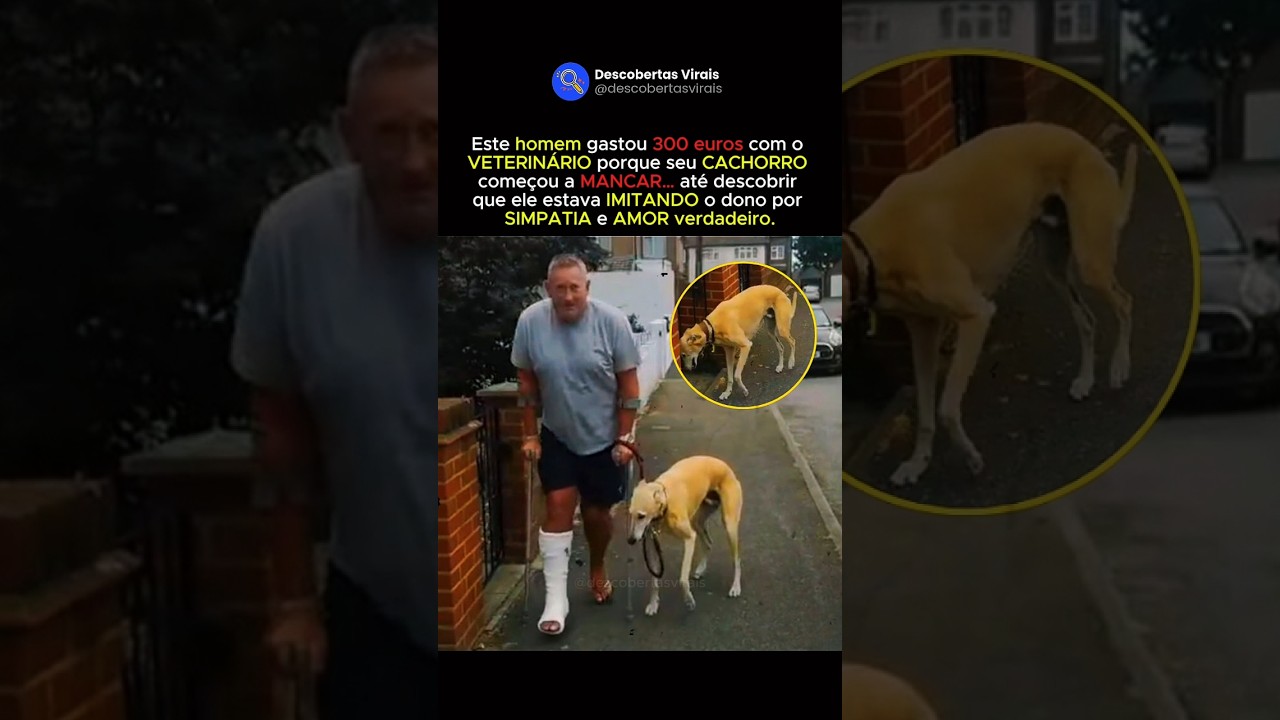 Ele GASTOU 300€ no VETERINÁRIO por um MOTIVO INESPERADO