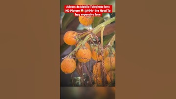 Adcom 8x Mobile Telephoto lens HD Picture 😱 @999/- No Need To buy expensive lens #youtubeshorts