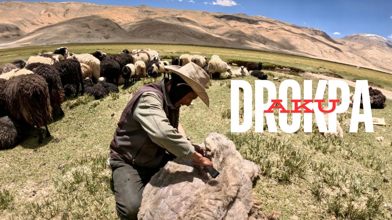 LADAKH TOUR END ON 27th JUNE 2024 ( DAY 12 to 15) #tibetanvlogger#himalayas 