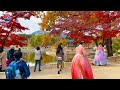 [4K] Seoul Gyeongbokgung Palace Beautiful Autumn Leaves. Seoul citizens wearing hanbok.