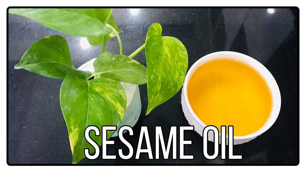 Cara Membuat Minyak Wijen Untuk Menambah Aroma Masakan (Sesame oil