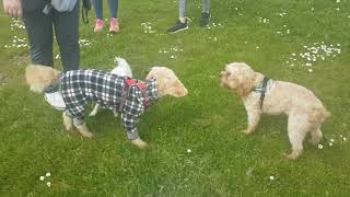Group Walk Heaton Park 7.5.22