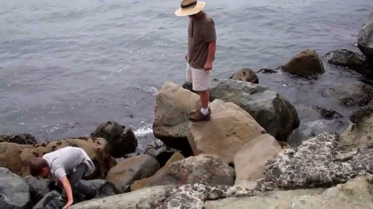 Fishing off the Noyo Jetty