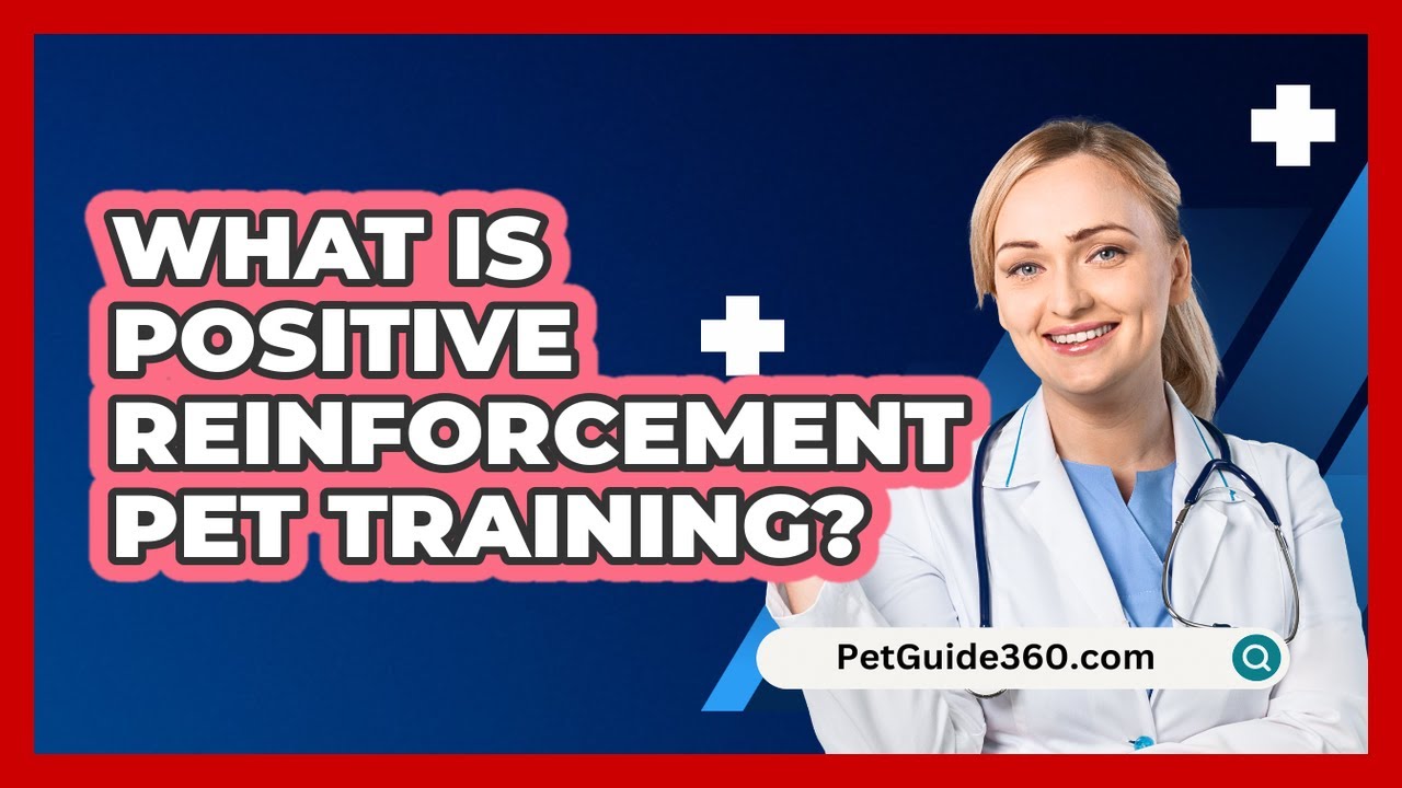 What Is Positive Reinforcement Pet Training?