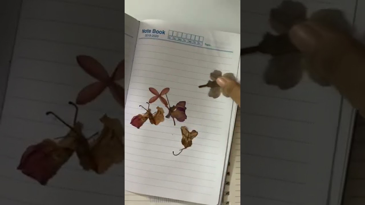 ☁️শরতের আগমন☁️