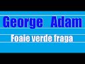 George adam    foaie verde frag