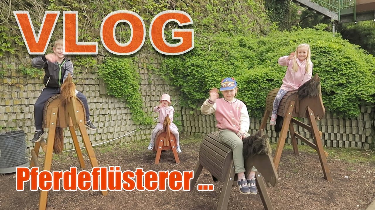 Familien Vlog I Tier- und Freizeitpark Gut Eversum I Stecken geblieben im Butterfly I Sportkarusell