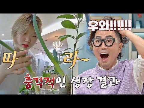.😱＂ <strong>수현이네</strong> 파테크 충격적인 성장 결과(!) 독립만세(alonenice) 10회